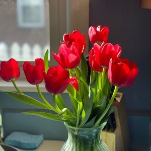 Meet your Posher, Summer